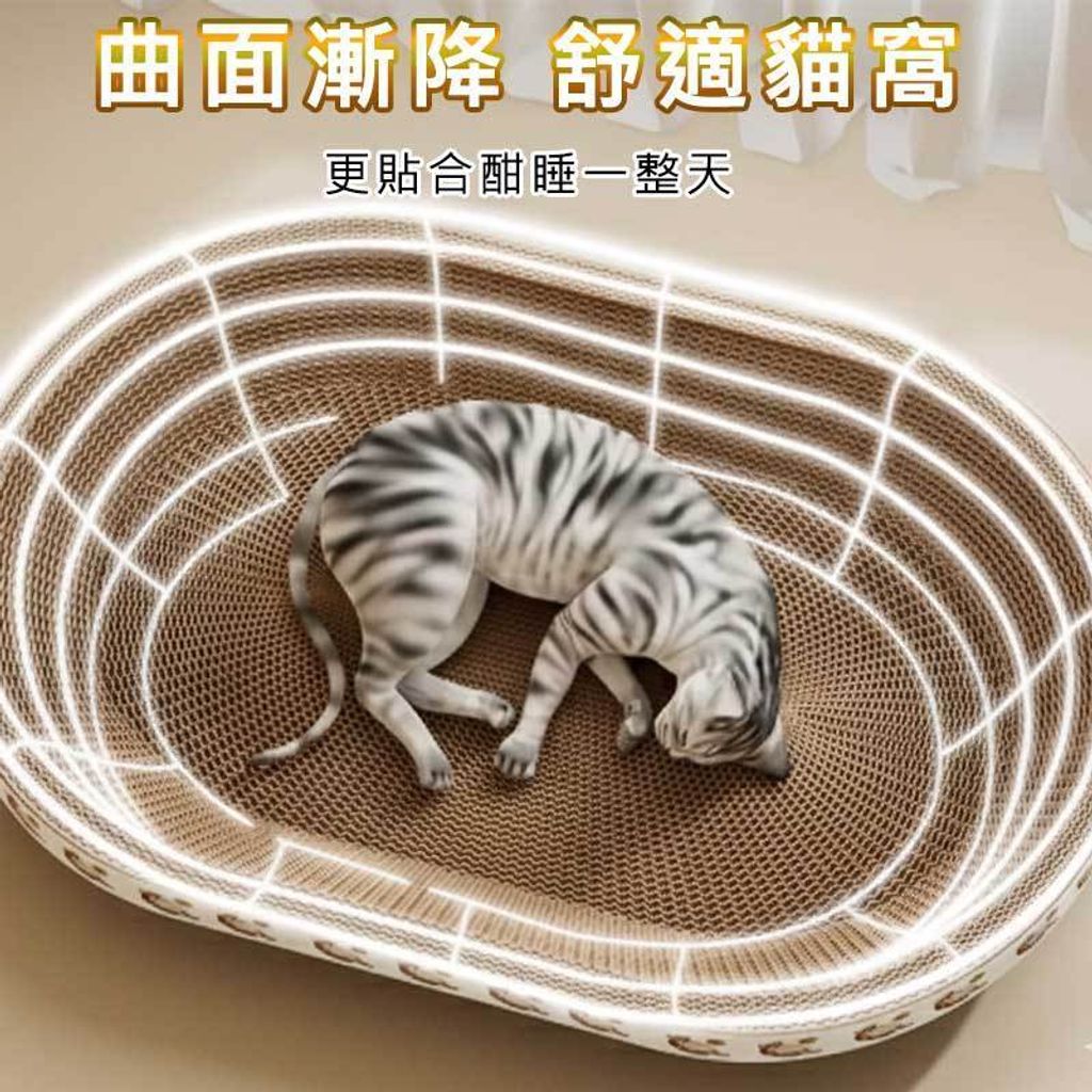 tw-11134207-81ztl-microkxjlzwge5