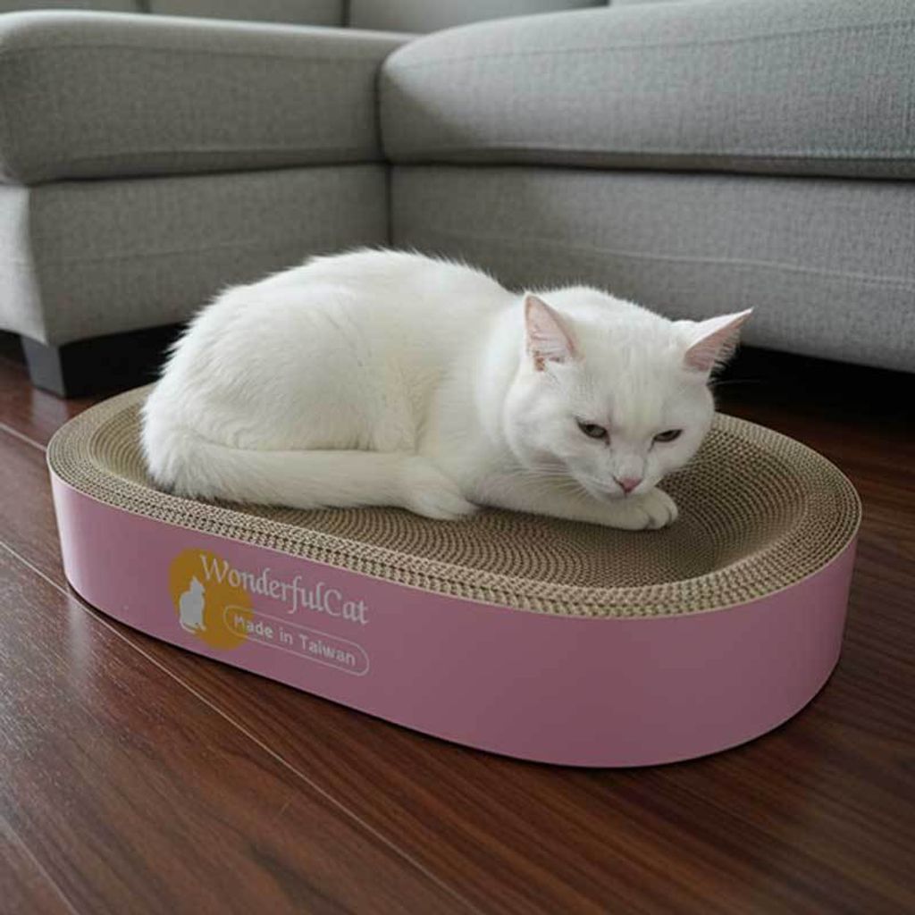 tw-11134207-81ztl-mht10pyggbuq21