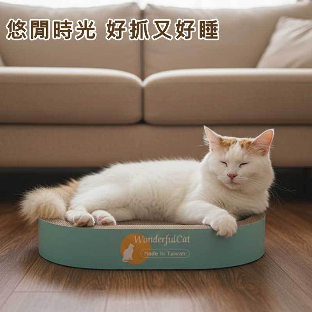 tw-11134207-81ztj-mhq608yczcw614