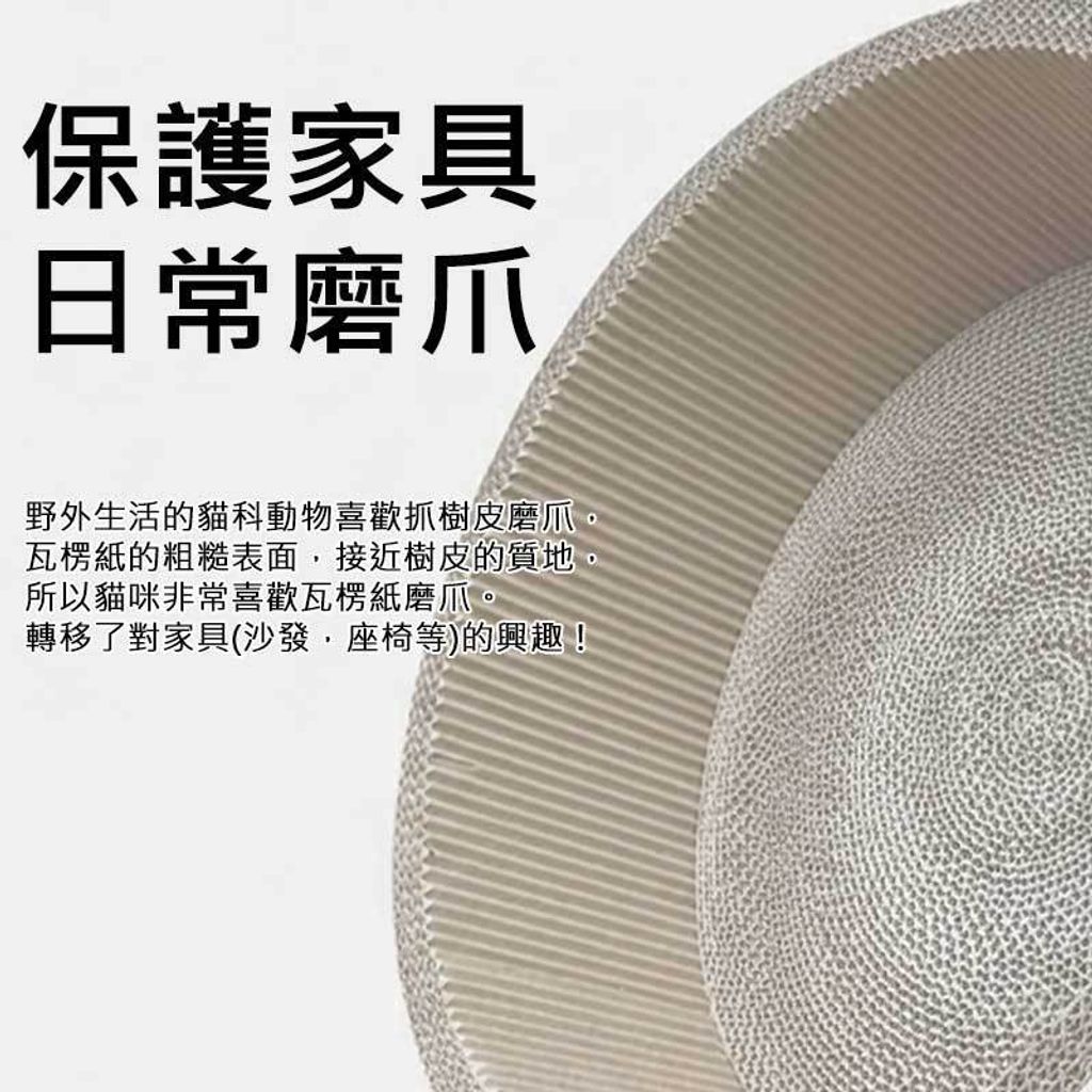 tw-11134207-81ztm-mjzc0d01ga2r55