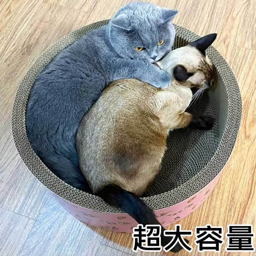 tw-11134207-81ztf-mjzc0d008qh0b1