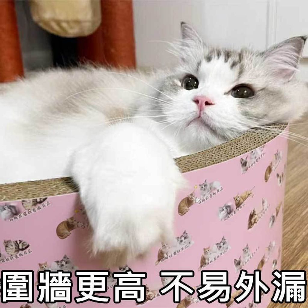 tw-11134207-81ztq-mjzc0d007bwk39