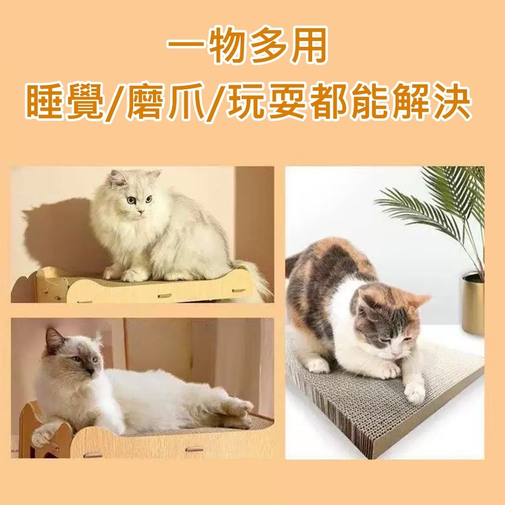 tw-11134207-81ztl-mhkf0cvphslg87