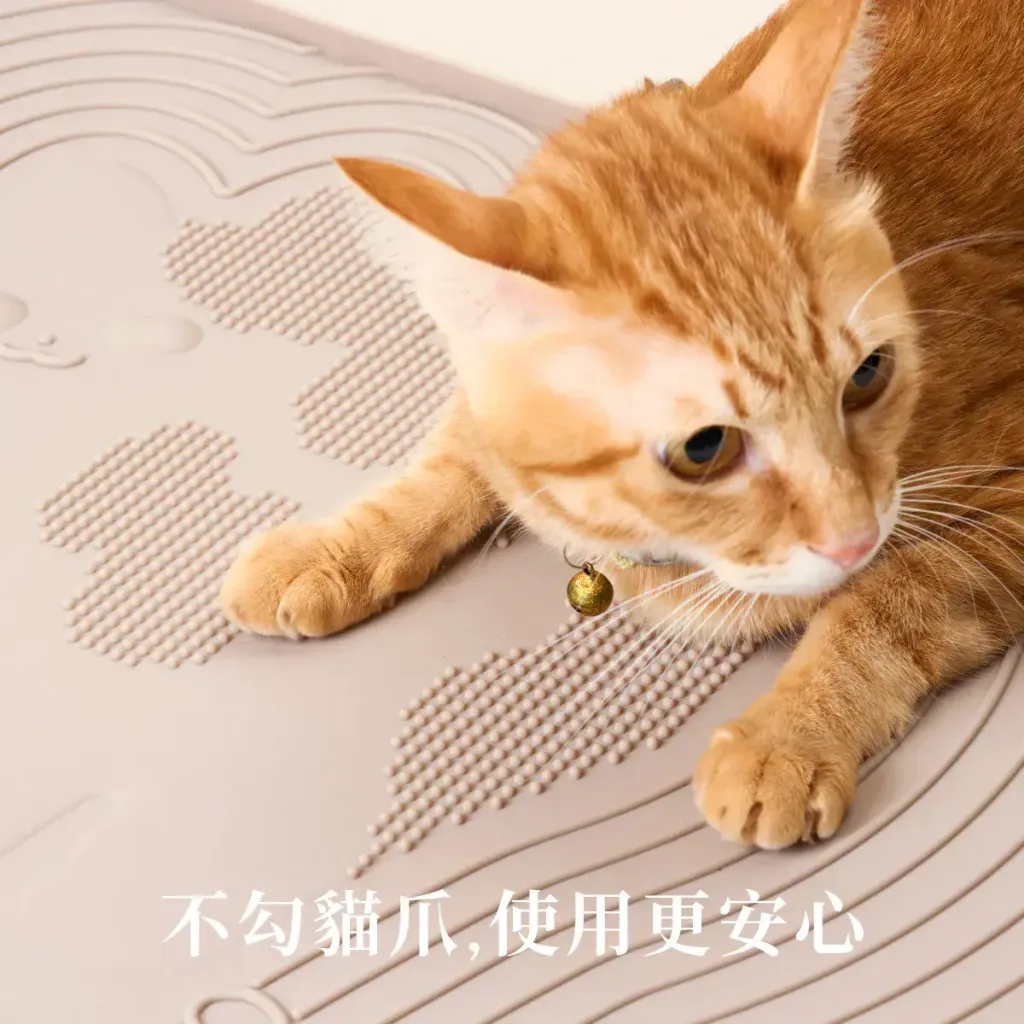 image_9B18671F-0753-427A-BE20-26361DEFDA85_1774957084