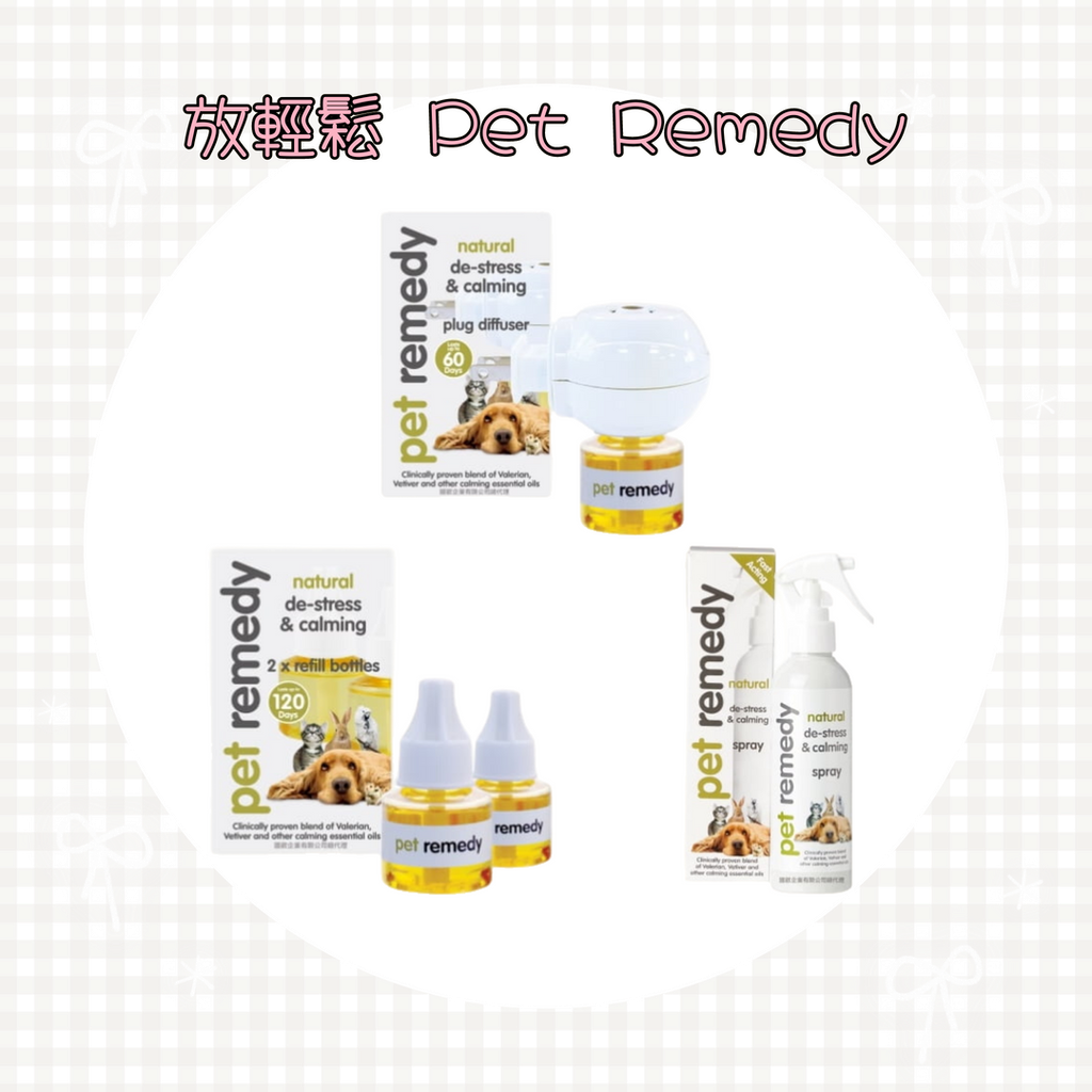 001_vivipic - 2025-06-22T000121.077