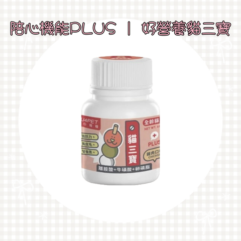 001_vivipic - 2025-06-22T001915.866