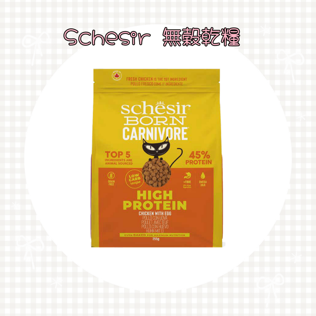 001_vivipic - 2025-06-22T145409.585