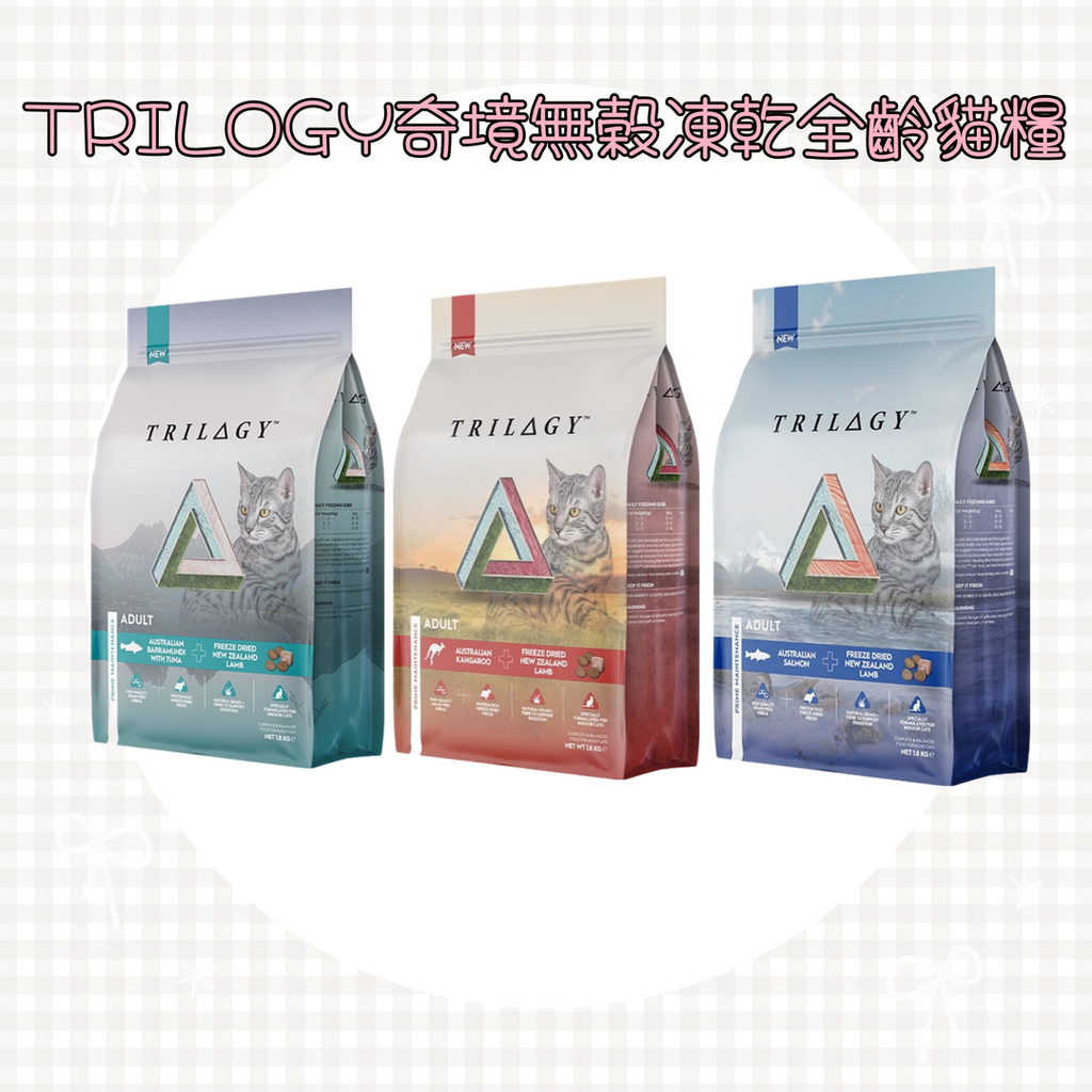 001_vivipic - 2025-06-22T215811.283