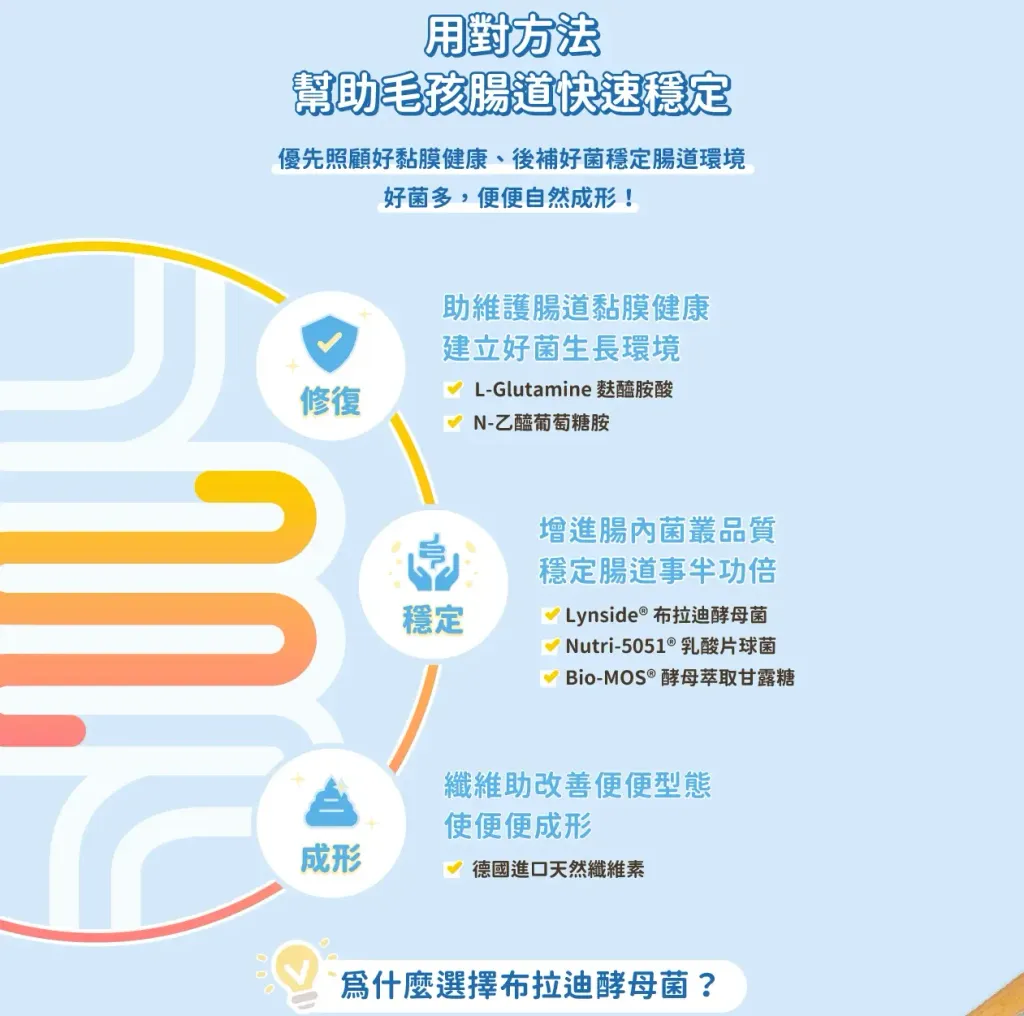 digestive-relief_C05A-1.jpg