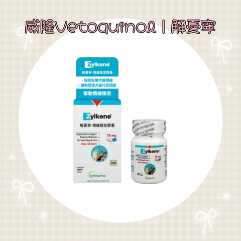 001_vivipic - 2025-07-15T002513.428