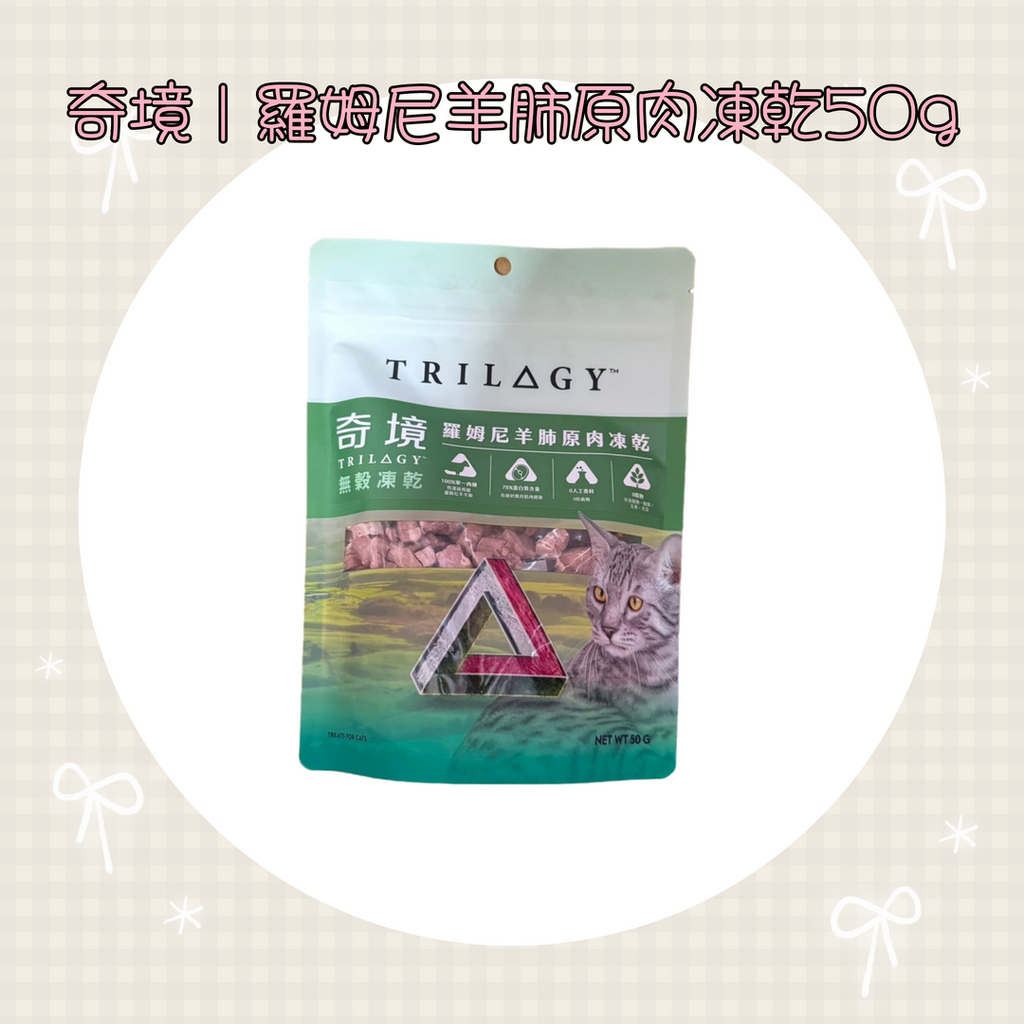 001_vivipic - 2025-07-21T145552.588