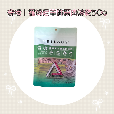 001_vivipic - 2025-07-21T145552.588