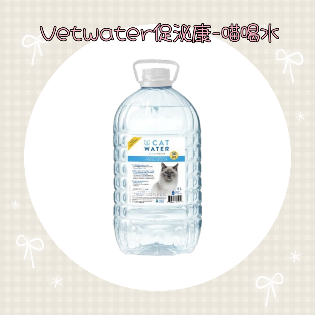 001_vivipic - 2025-08-12T144919.405