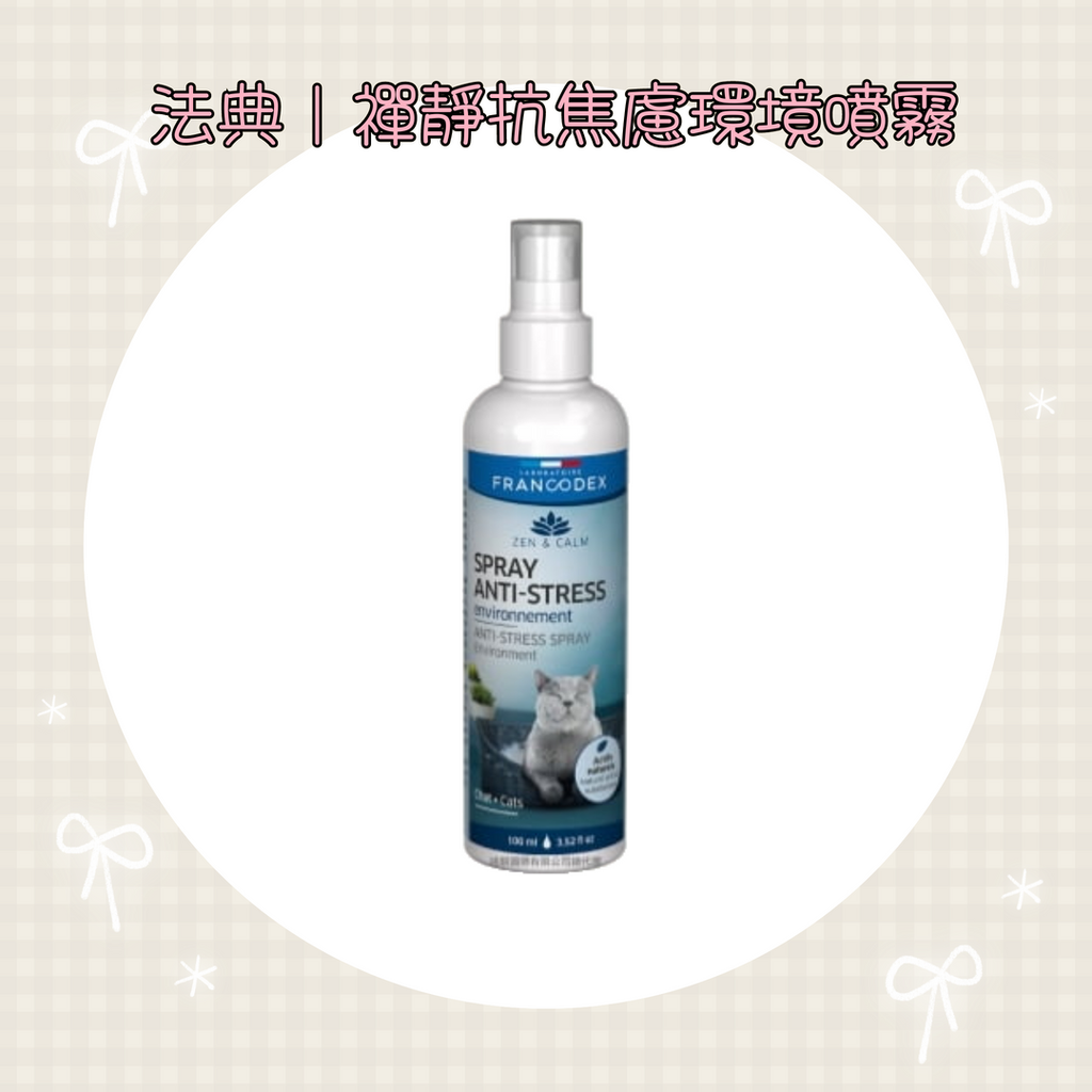 001_vivipic - 2025-08-13T020026.030