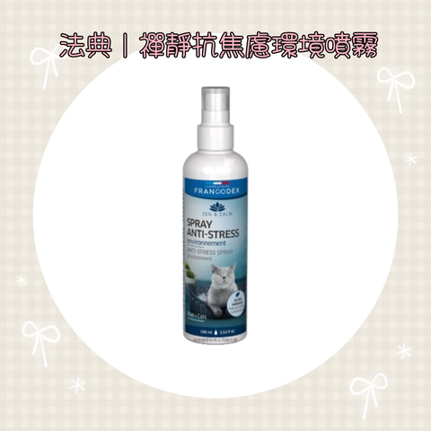 001_vivipic - 2025-08-13T020026.030