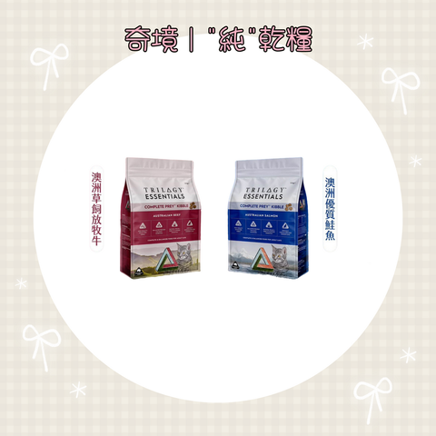 001_vivipic - 2025-08-15T171854.747