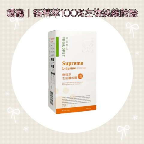 001_vivipic - 2025-08-21T123240.051