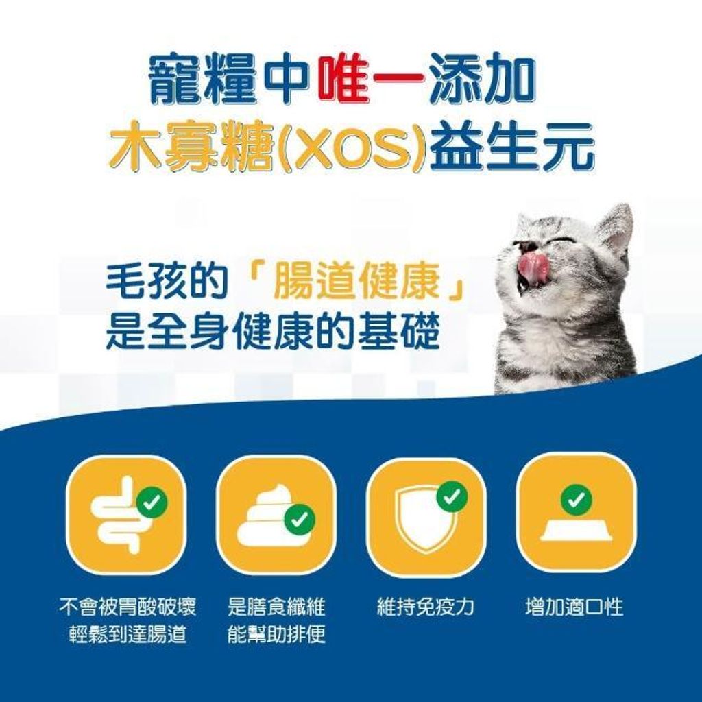 TP00001530000019_R1_m