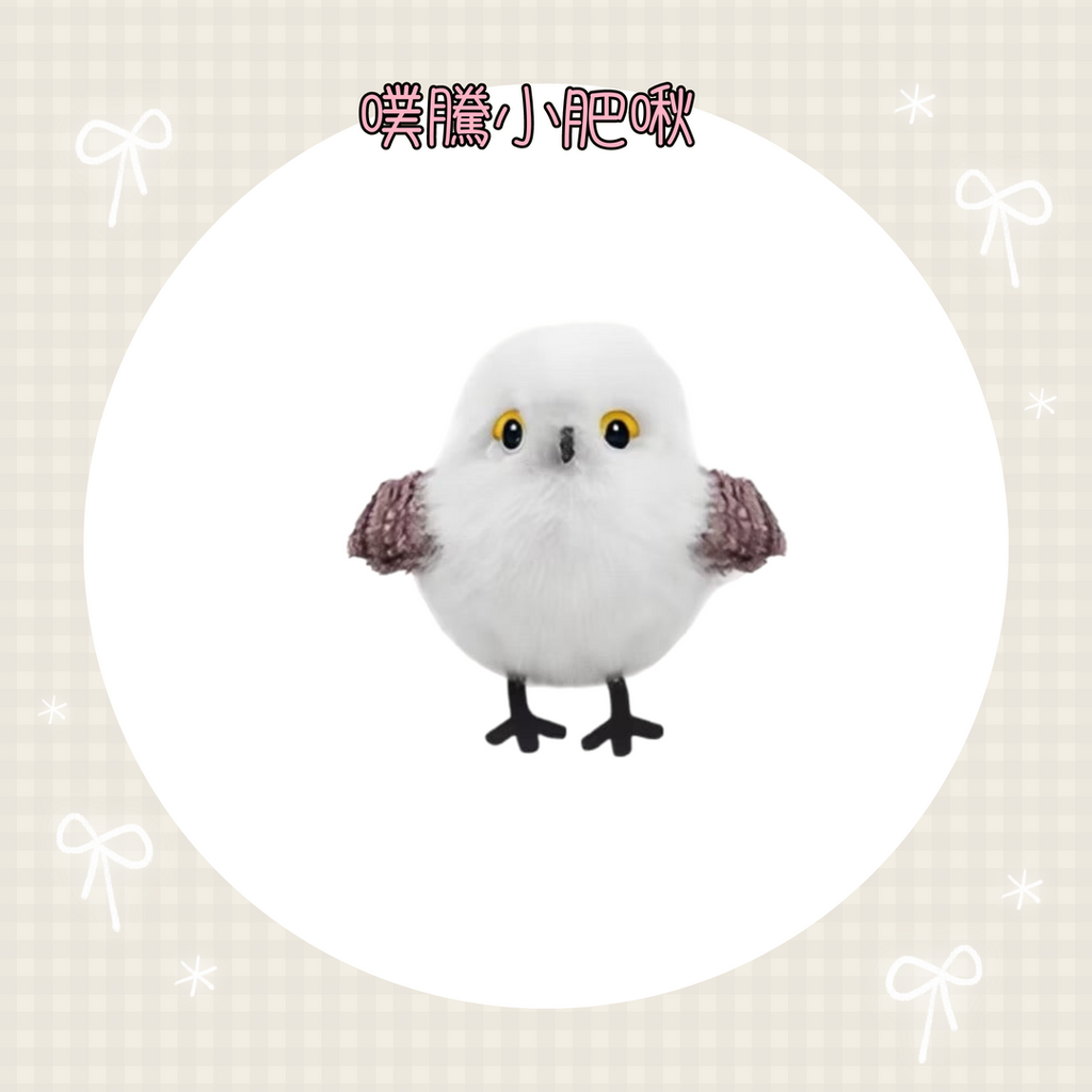 001_vivipic - 2025-08-27T135504.757