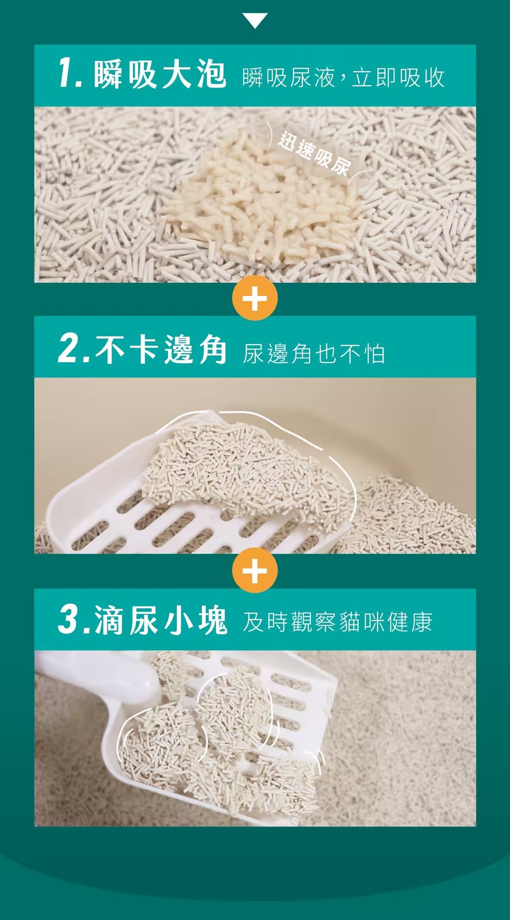 image_23648D16-2B76-4457-A508-57BCB0397B0A_1765328400