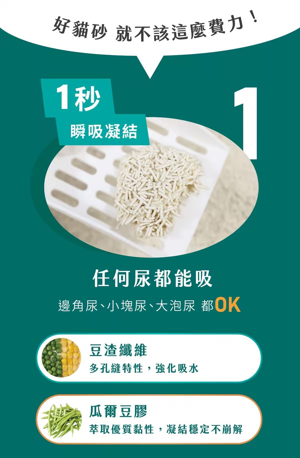 image_A89B2305-134B-4B79-BD80-7A998A1CA3F8_1765328400