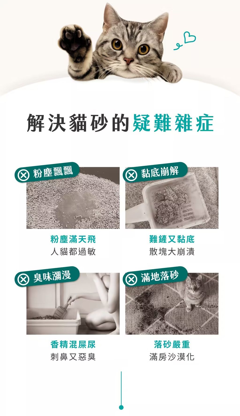 image_51F58178-E09C-4637-BD6C-4ED63F6499CD_1765328400