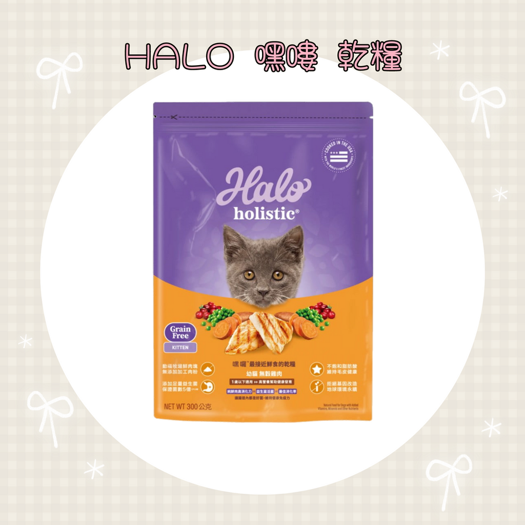 001_vivipic - 2025-12-22T210308.939