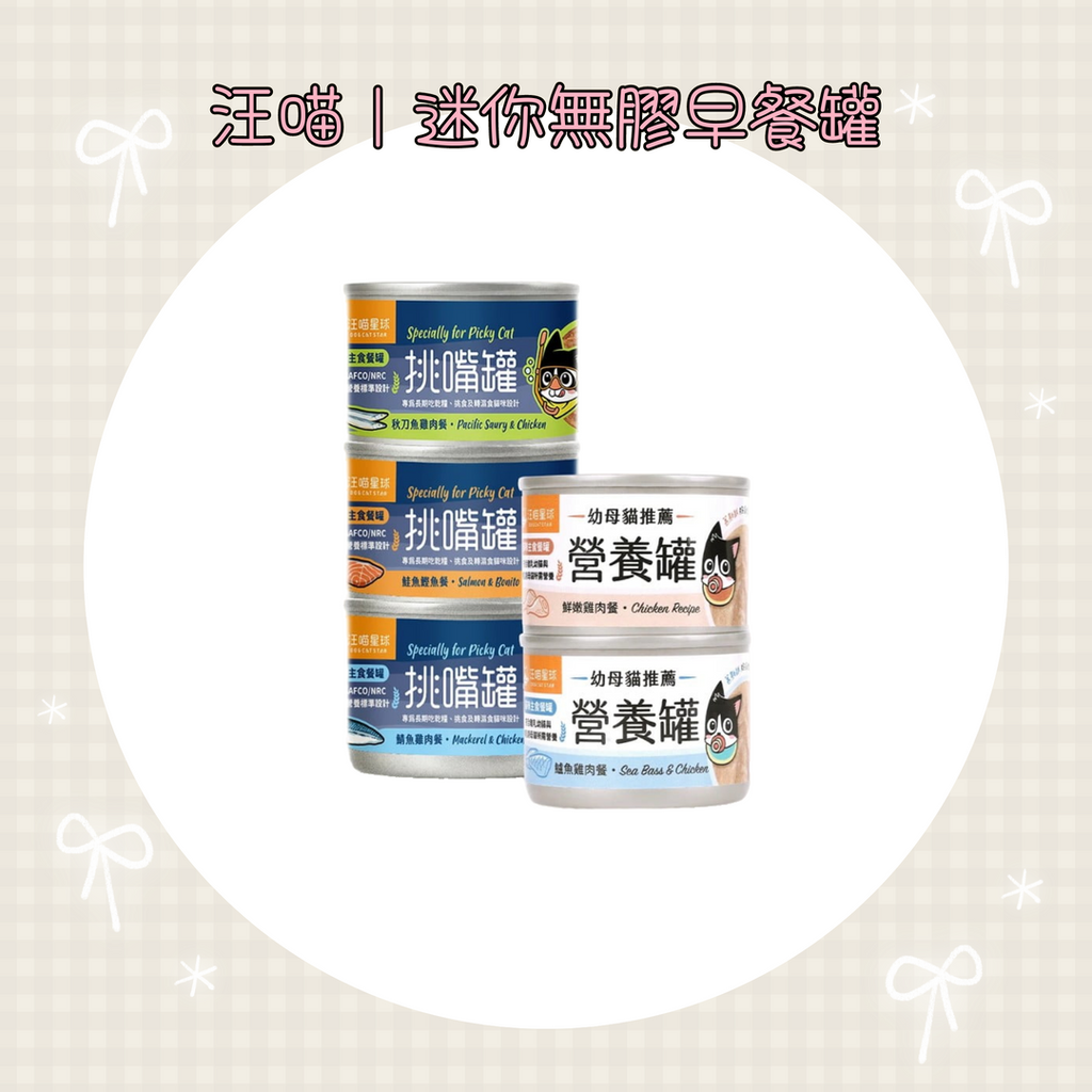 001_vivipic - 2025-12-28T210646.995