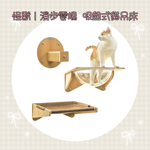 001_vivipic - 2026-01-01T234832.176