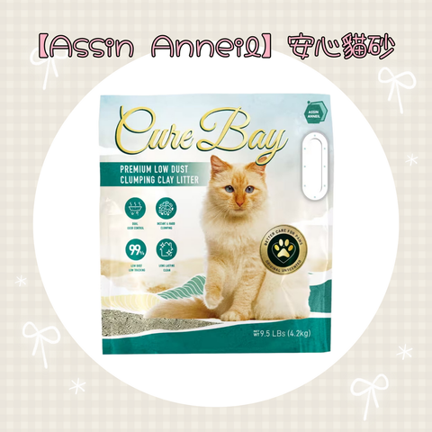 001_vivipic - 2026-01-19T213120.850