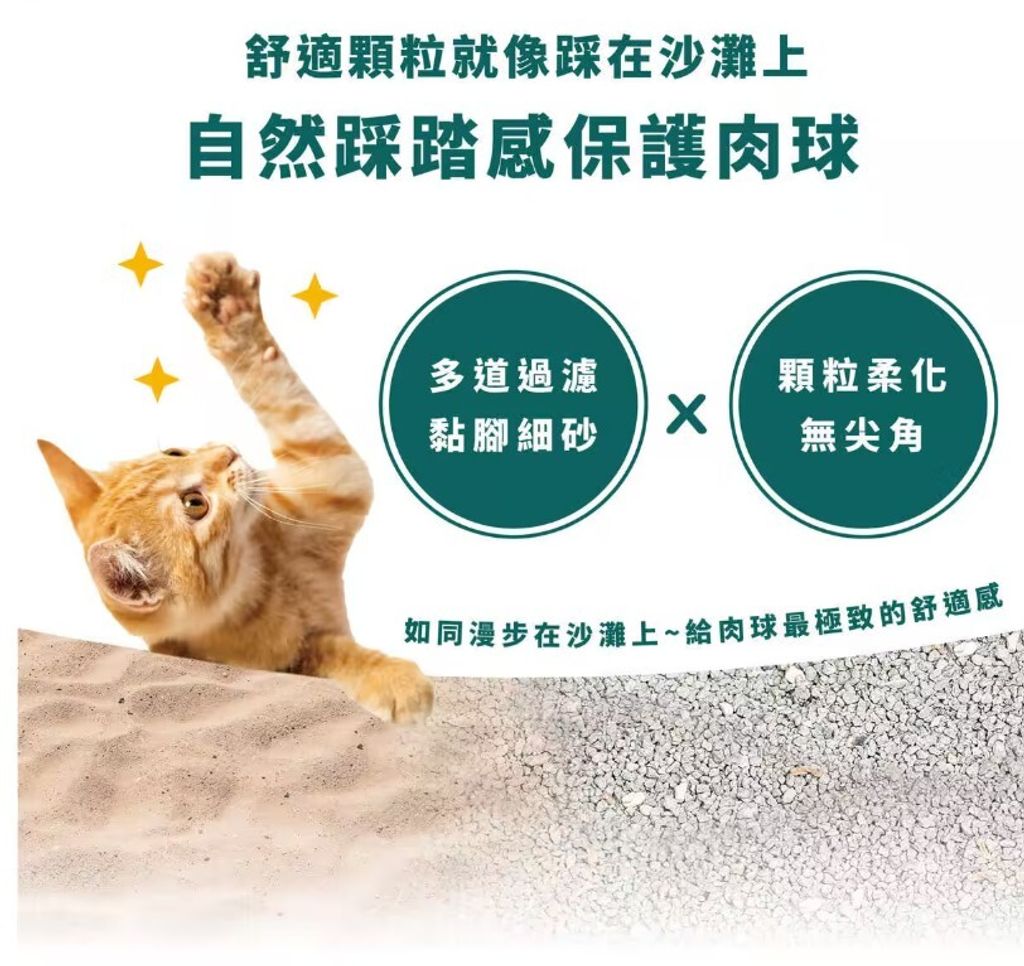 messageImage_1768830228608