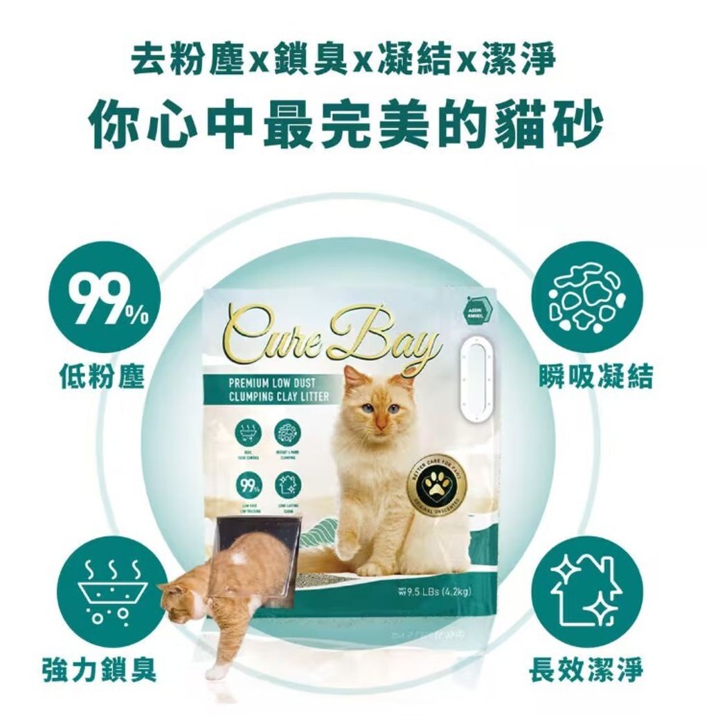 messageImage_1768830089319