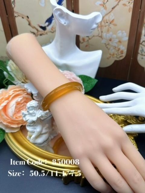 850008 (2)