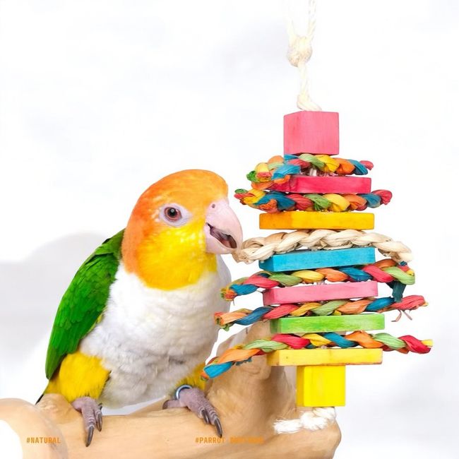 鳥鳥百貨公司 | 商品分類 - 玩的