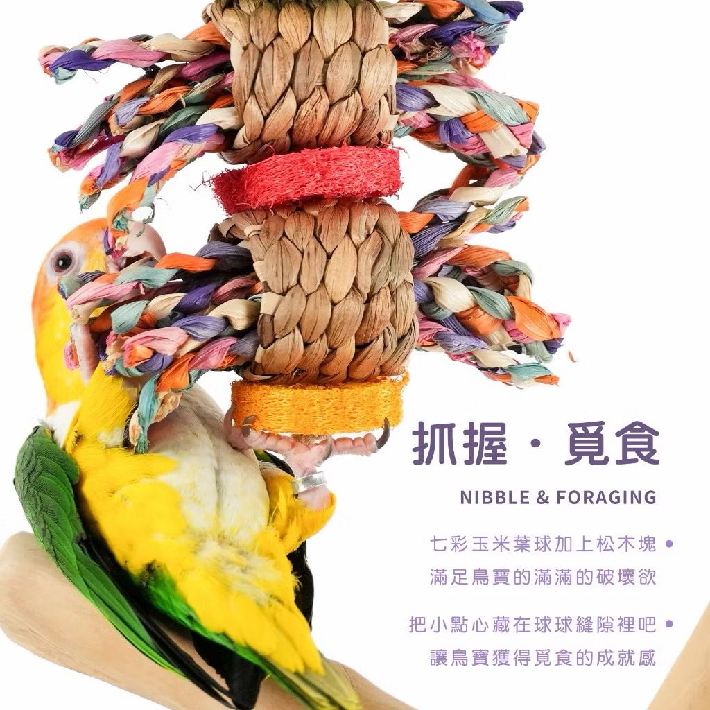 image_958DA8C8-F5A3-45D9-A7DB-543E6BCCCFDE_1776773051