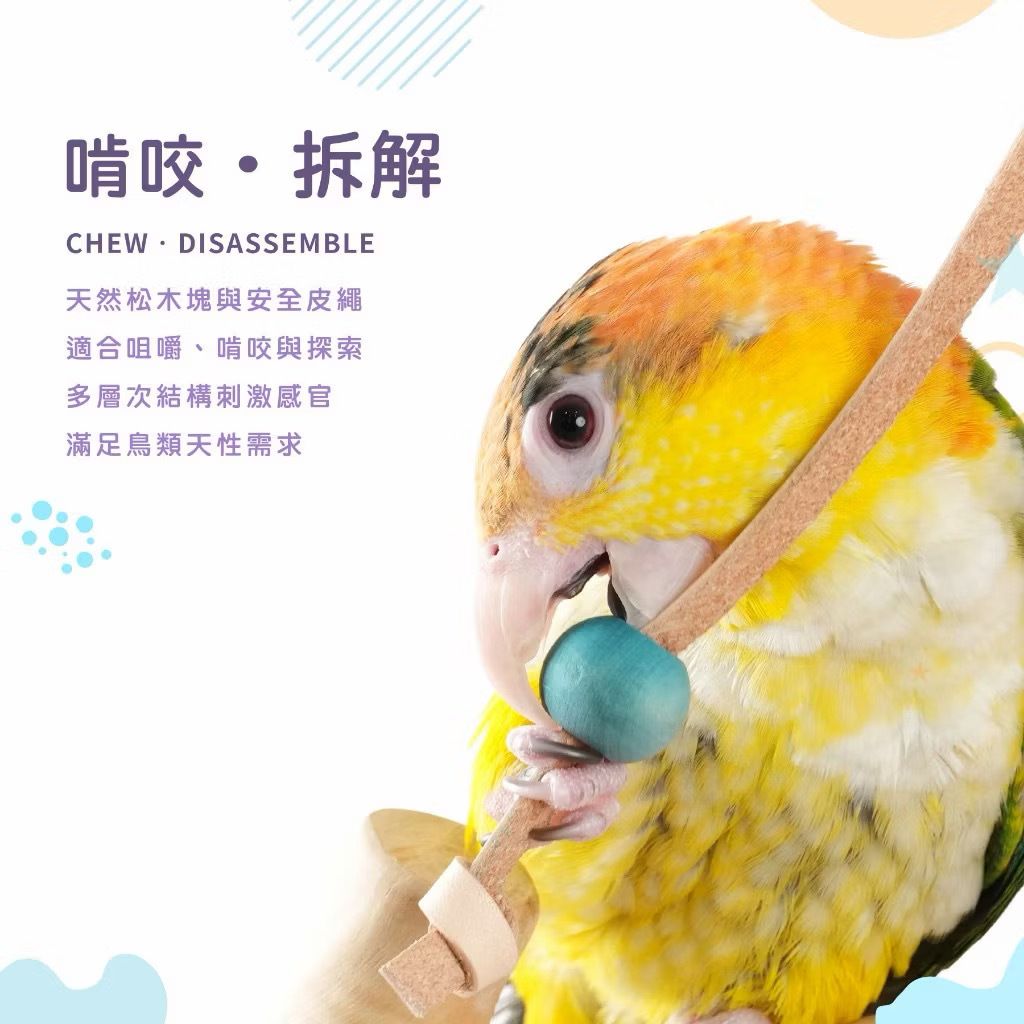image_C30B5684-9A47-42A6-8A6D-05EE77EF090A_1776774997