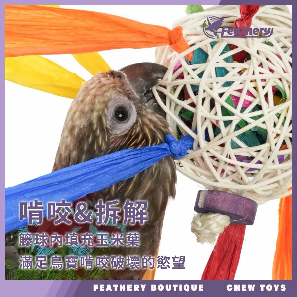 image_7DA3D775-836D-47B1-AA10-2690F1A84D85_1786512708