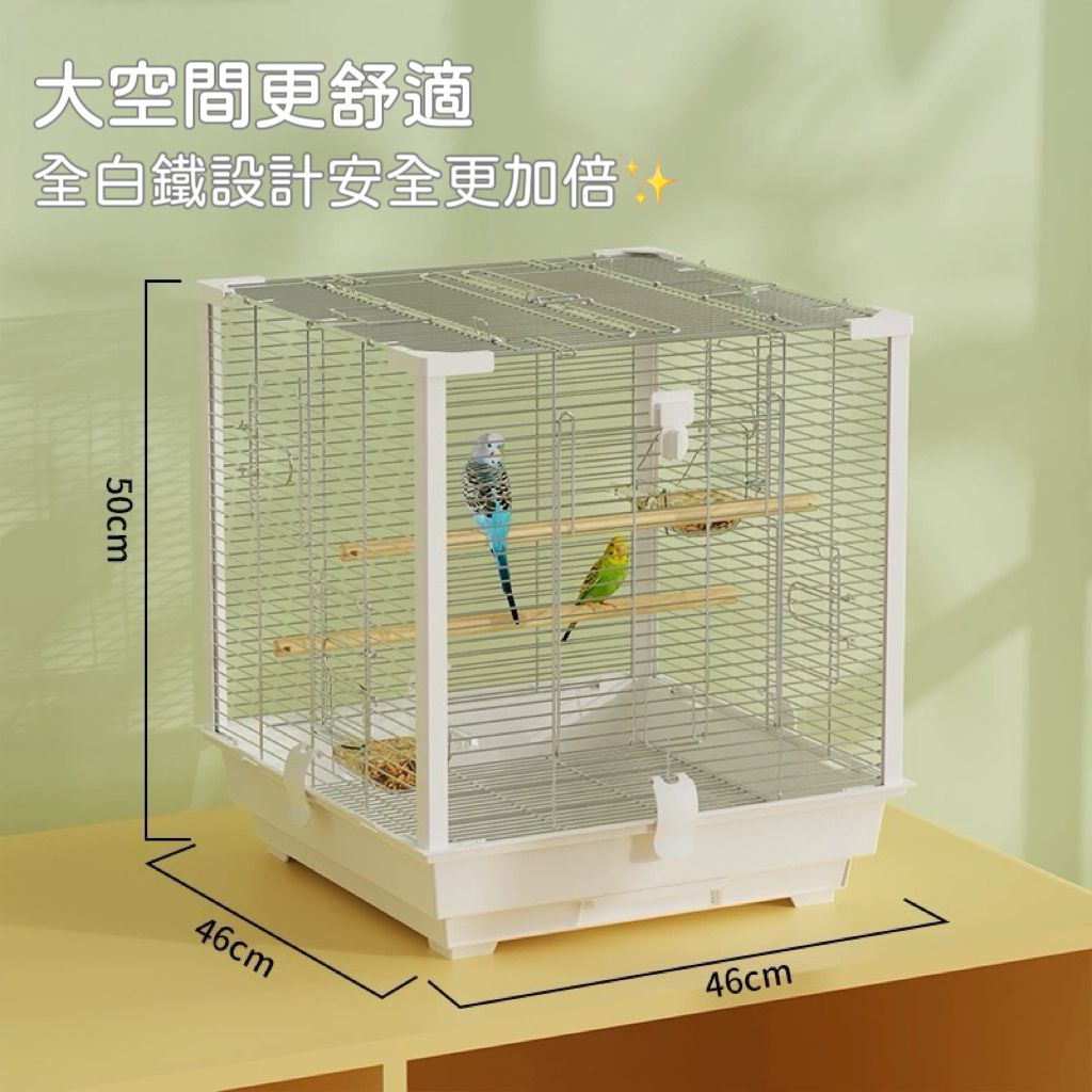 IMG_0585-1738746504095