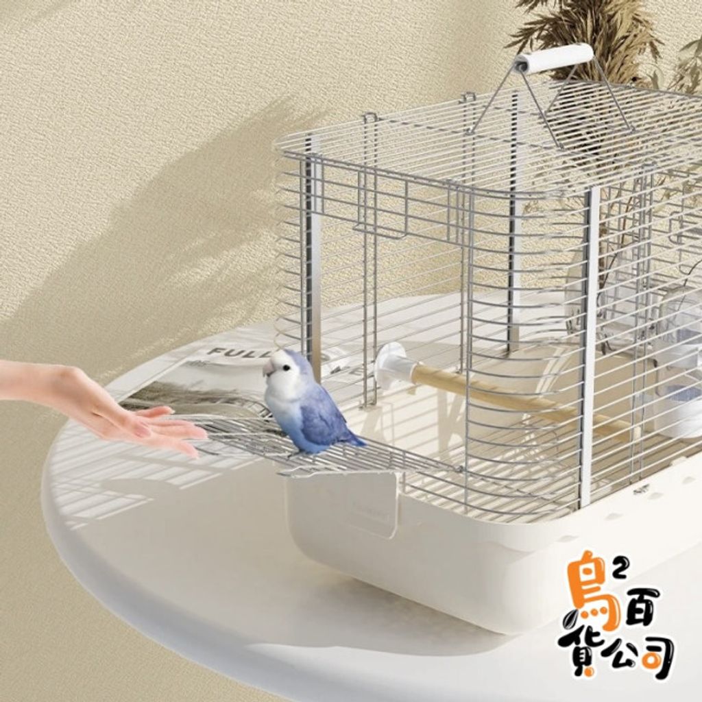 波浪外出籠（小） – 鳥鳥百貨公司