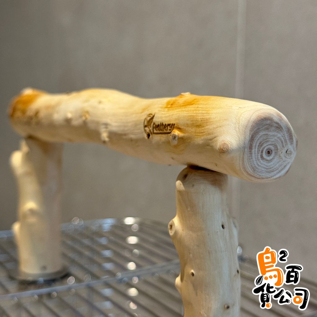 IMG_1702-1739641142089