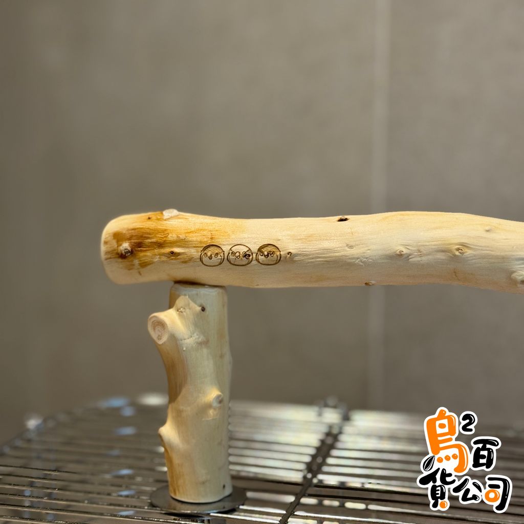 IMG_1701-1739641142096