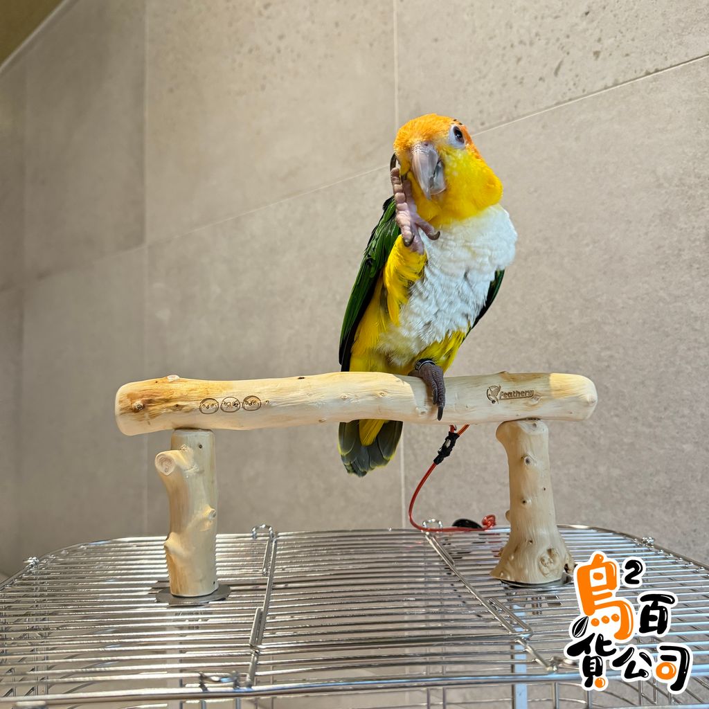 IMG_1703-1739641142102