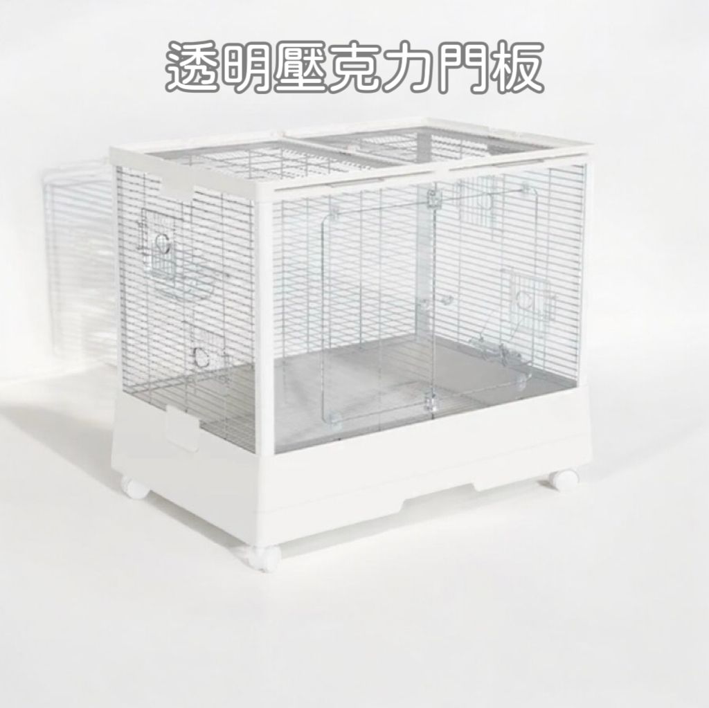 IMG_1674-1739649575476