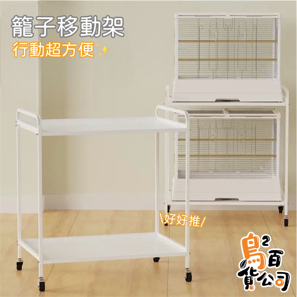 IMG_2018-1740204316581