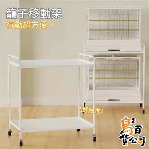 IMG_2018-1740204316581