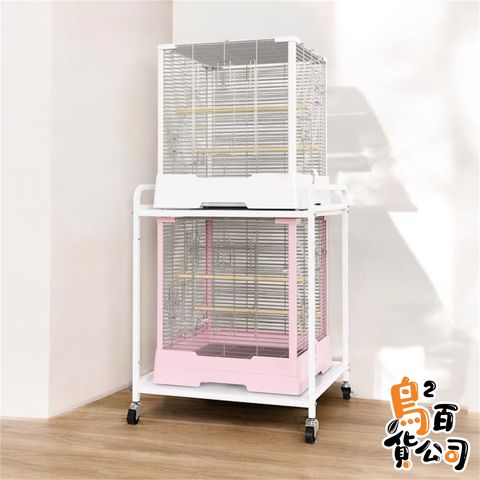 IMG_2020-1740204316578