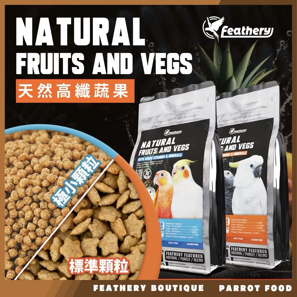 IMG_2038-1740231904624