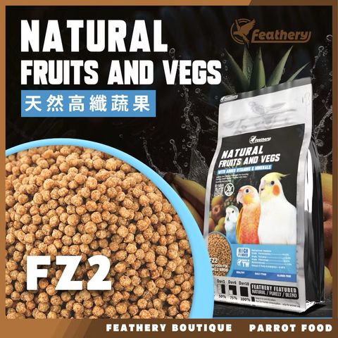 IMG_2040-1740231904623