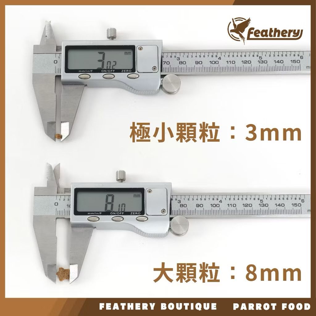 IMG_2041-1740231904630