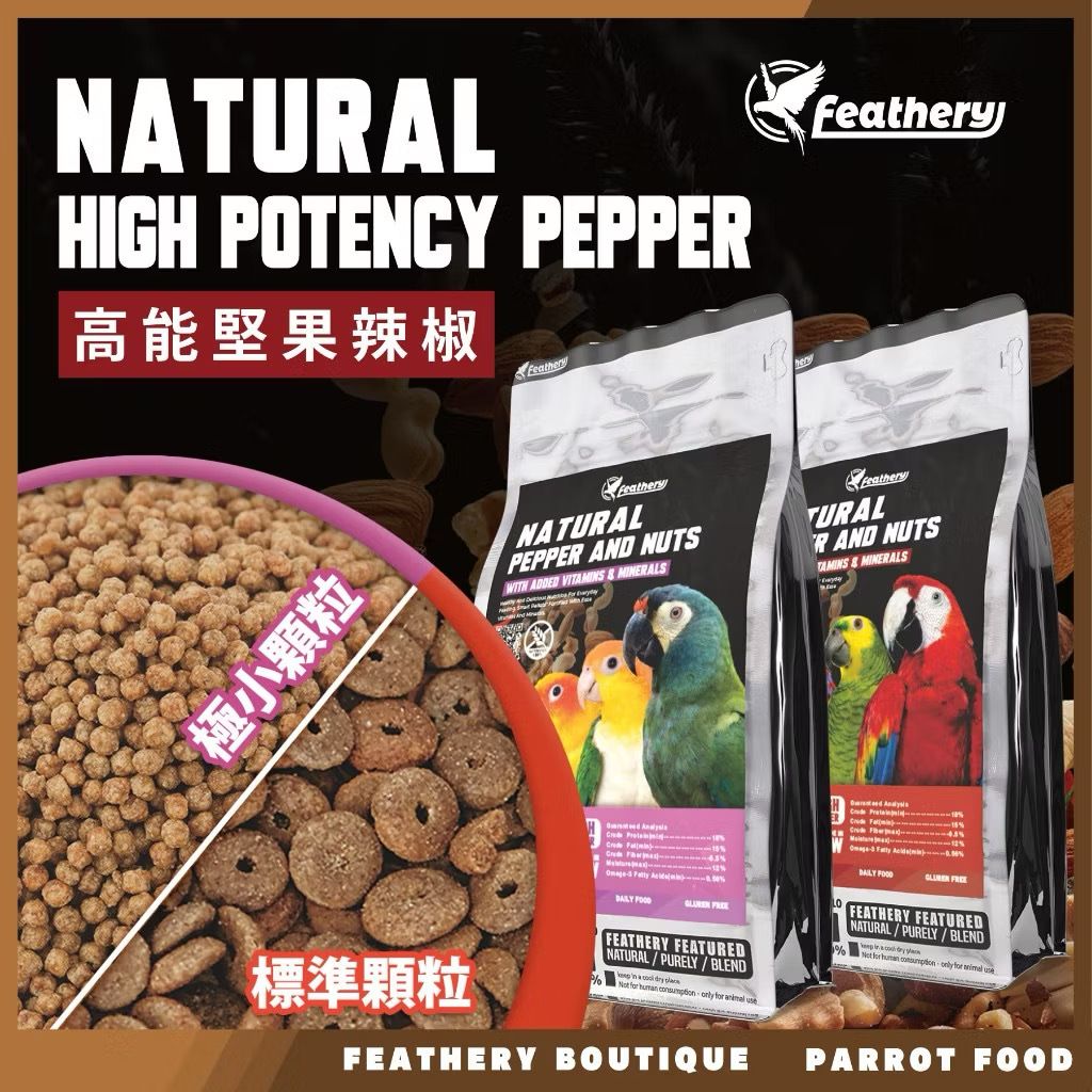 IMG_2049-1740237173535